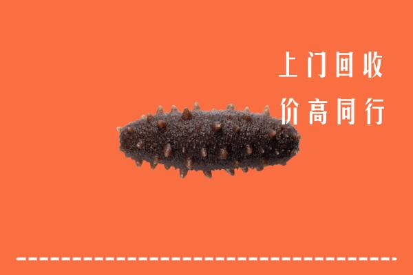 收购行情：宁海县回收海参