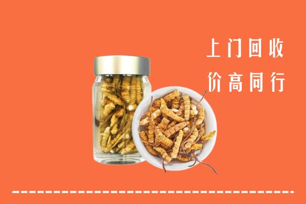 收购行情：宁海县回收冬虫夏草